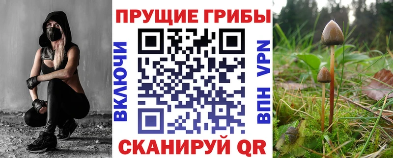 Псилоцибиновые грибы GOLDEN TEACHER  Короча 